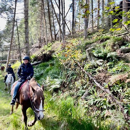 Scottish Equi B&B Lanark Dış mekan fotoğraf