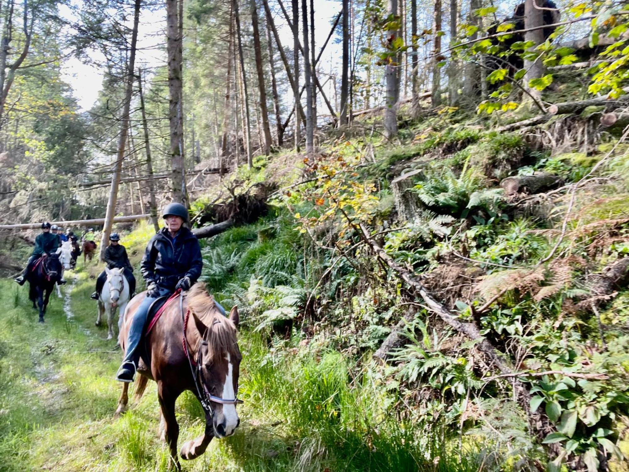 Scottish Equi B&B Lanark Dış mekan fotoğraf